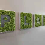 Plaza - Free Parking 호텔 플로브디프