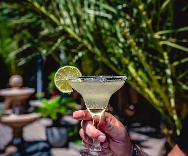 Plaza - Free Parking